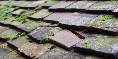 Newark On Trent roof repair costs